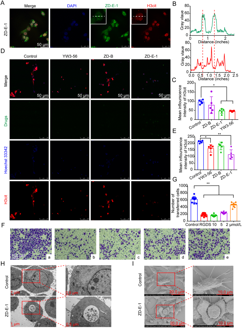 Figure 4