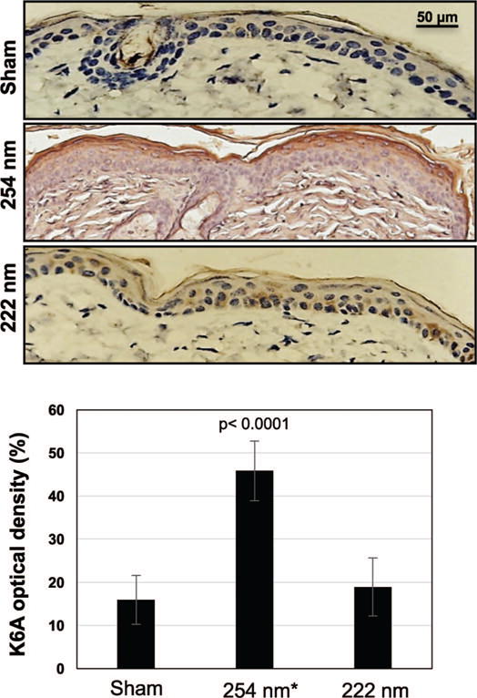 FIG. 7