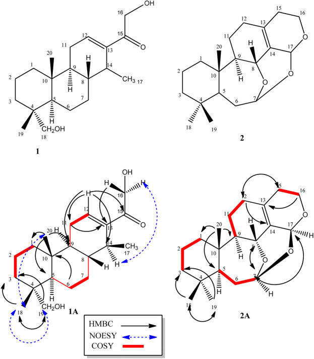 FIGURE 1