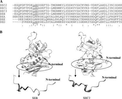 FIG. 9.