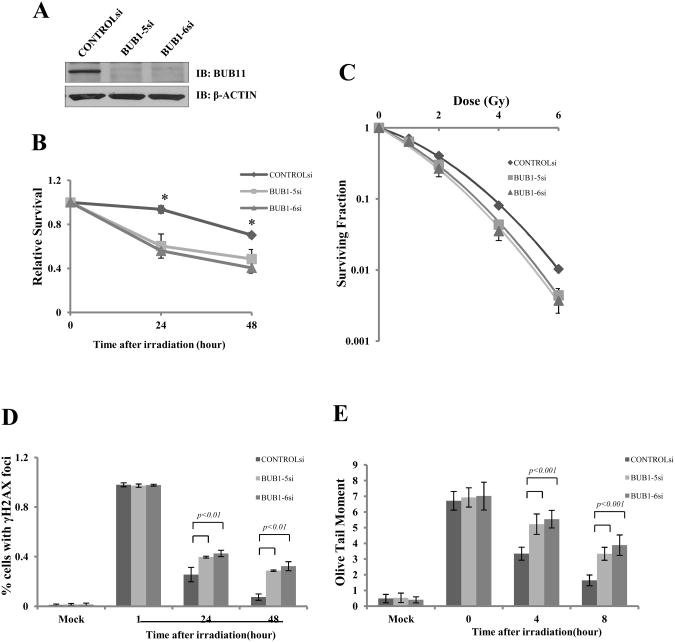 Fig.1