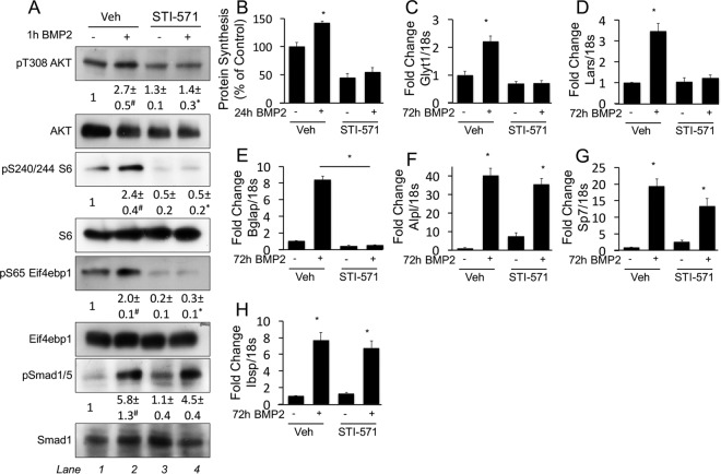 FIG 6