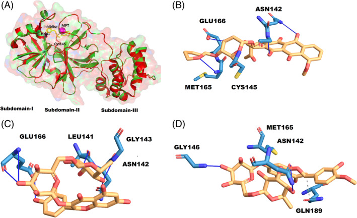 FIGURE 6