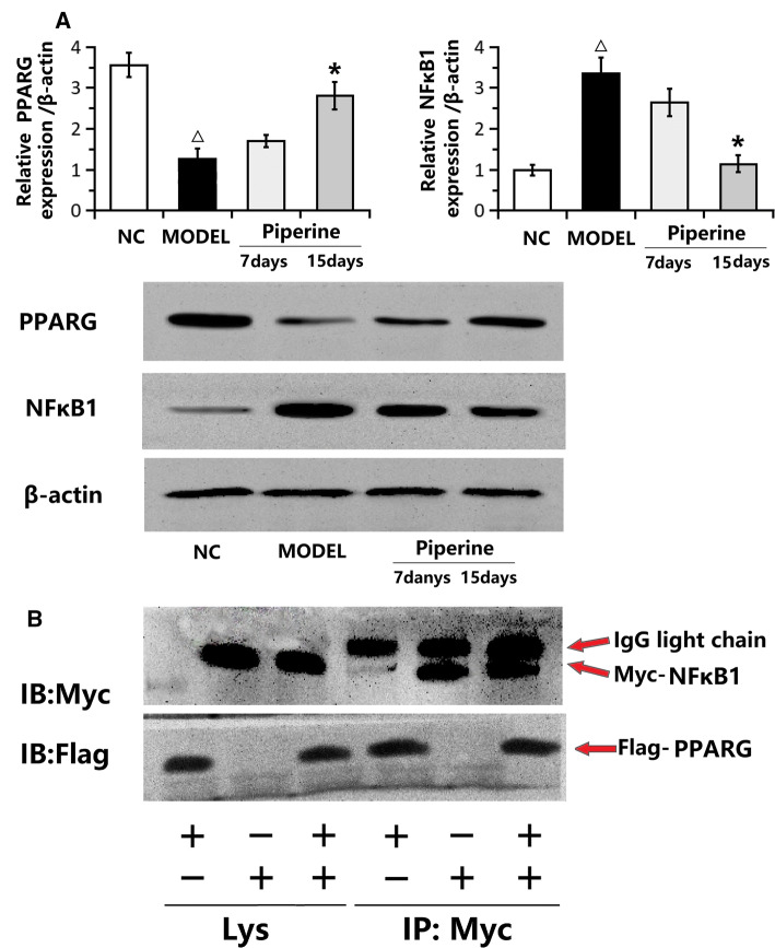 Fig. 6