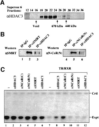 graphic file with name cdd417f8.jpg