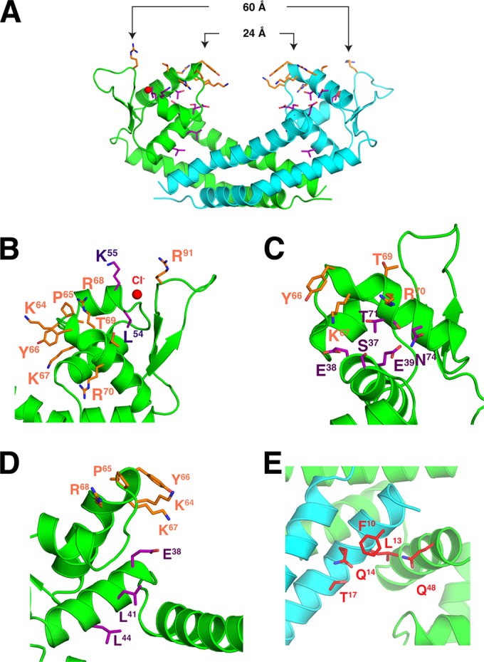 FIG 5