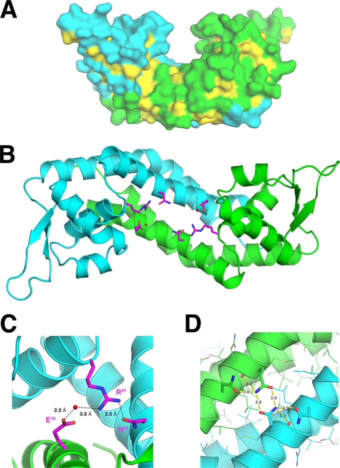 FIG 2