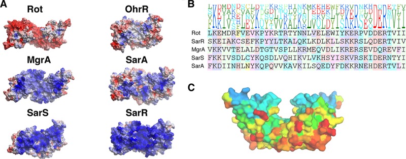 FIG 3