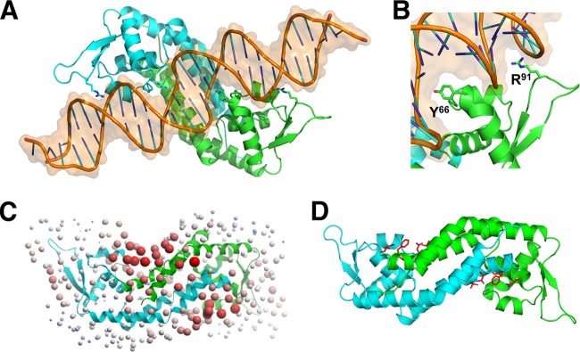 FIG 4