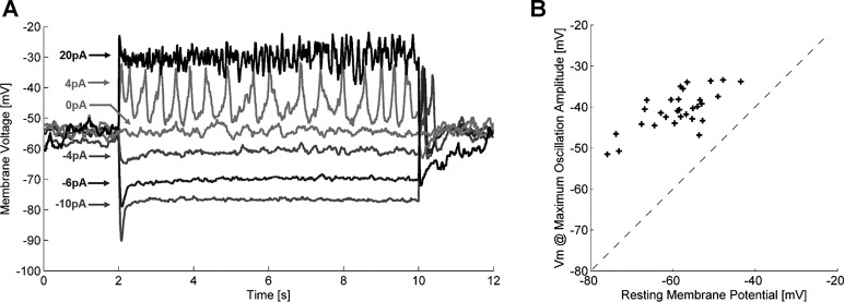 Fig. 6.