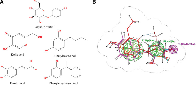 Figure 5.