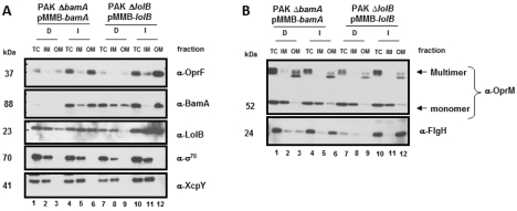 FIG 2 