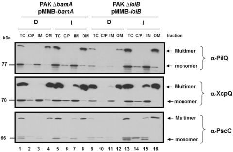 FIG 3 