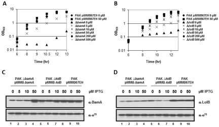 FIG 1 