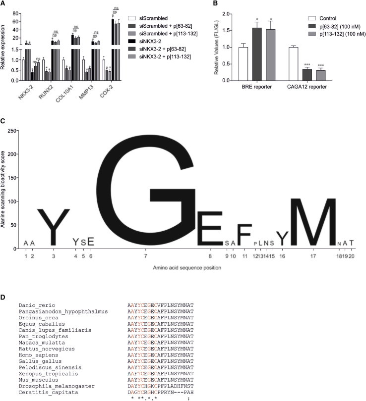 Figure 5