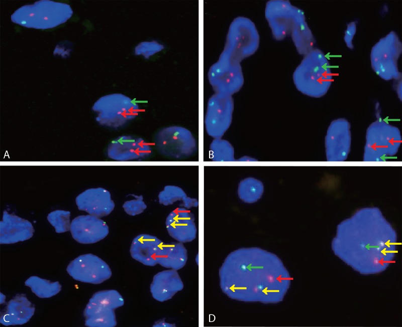 FIGURE 3