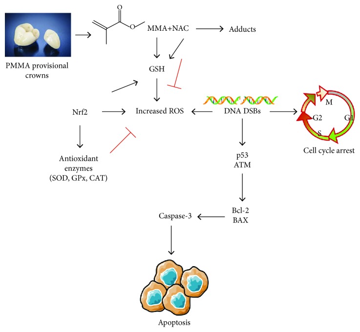 Figure 6