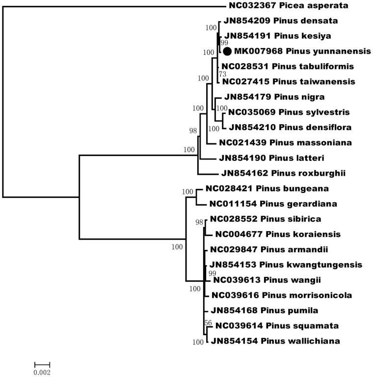 Figure 1.