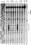 FIG. 7