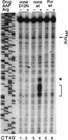 FIG. 8