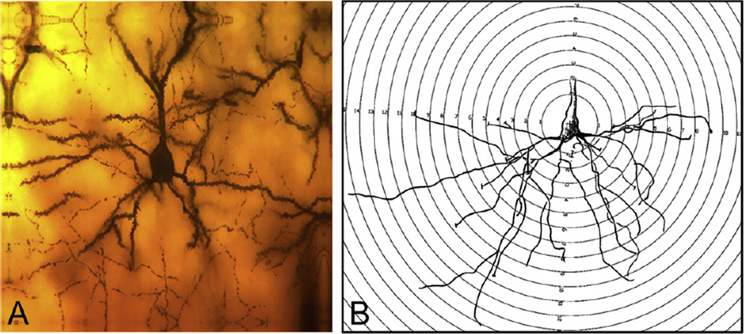 Fig. 6