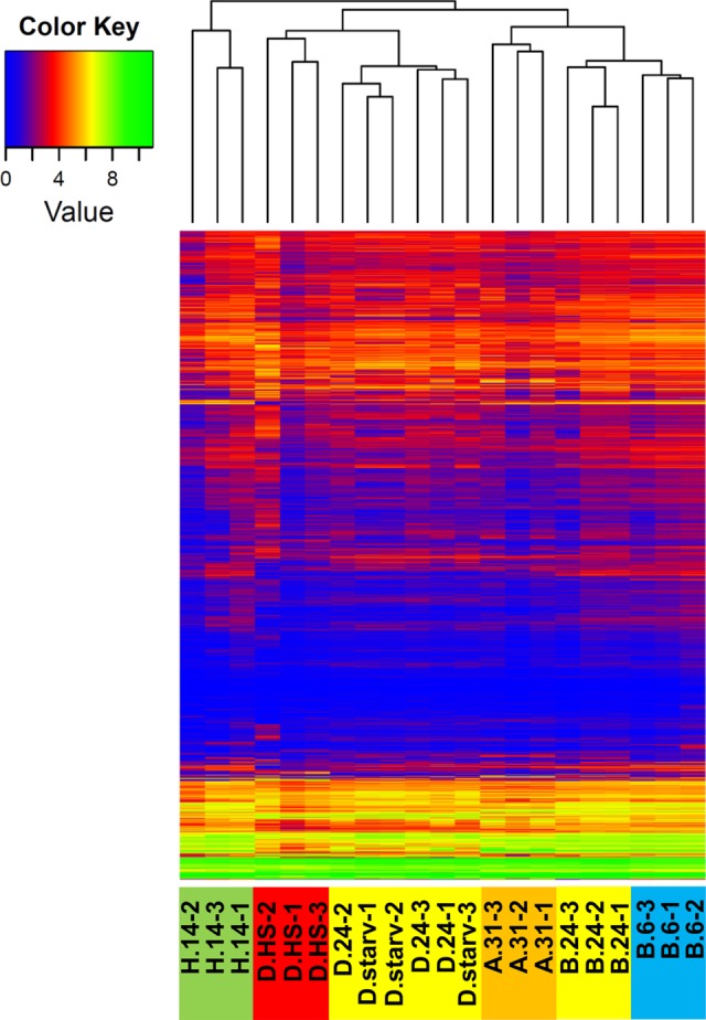 Figure 3.