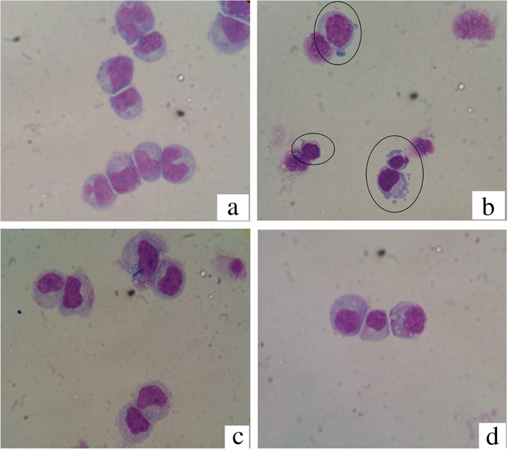 Fig. 6