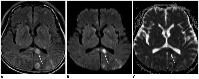 Fig. 5