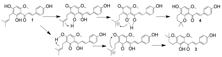 Scheme 2