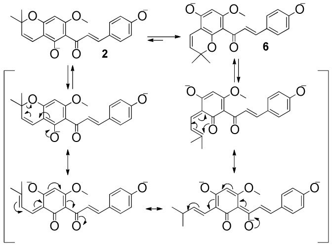 Scheme 4