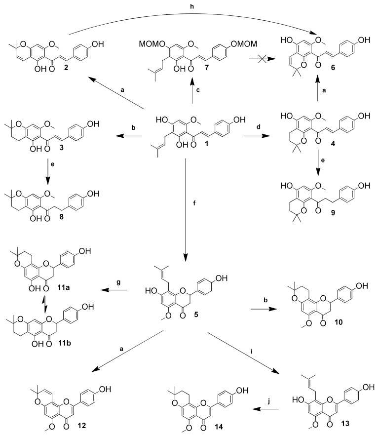 Scheme 1