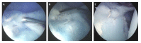 Fig. (2)