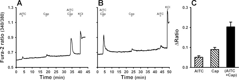 Fig. 8.