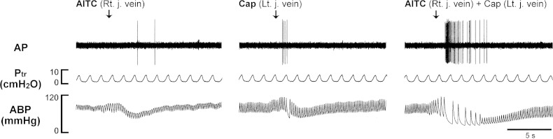 Fig. 5.