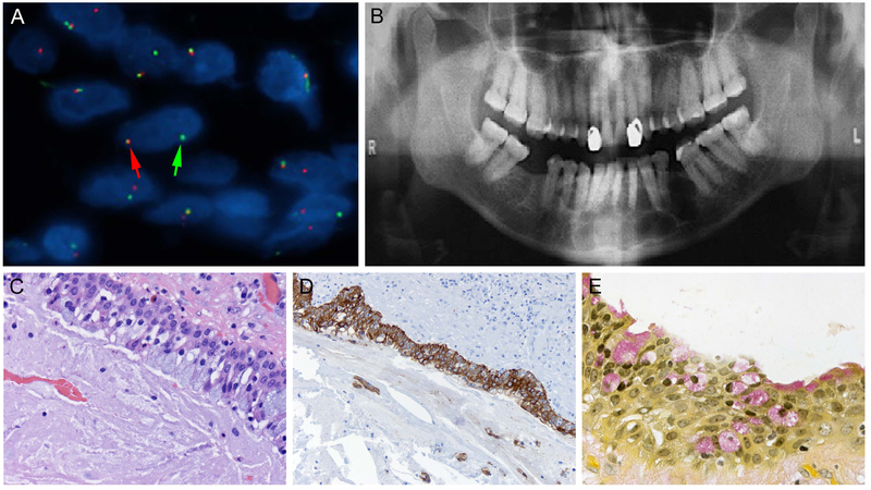 Figure 3: