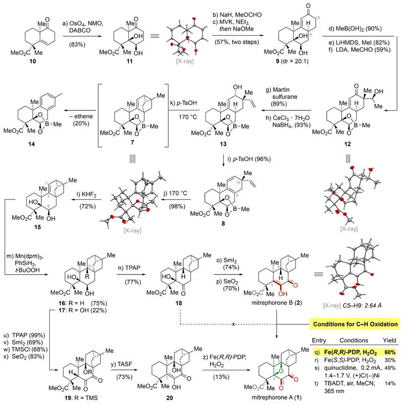 Schema 2