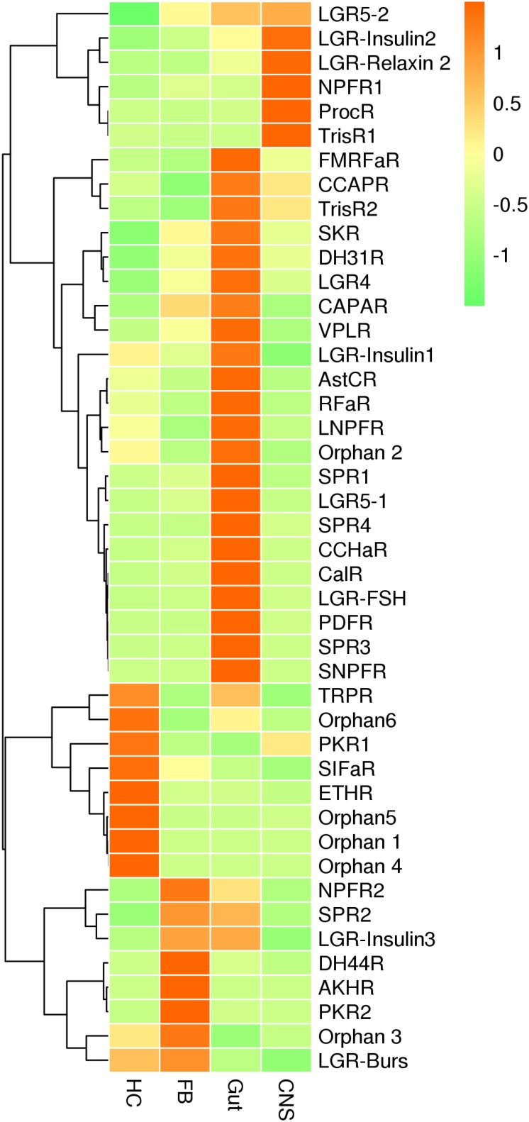 FIGURE 6