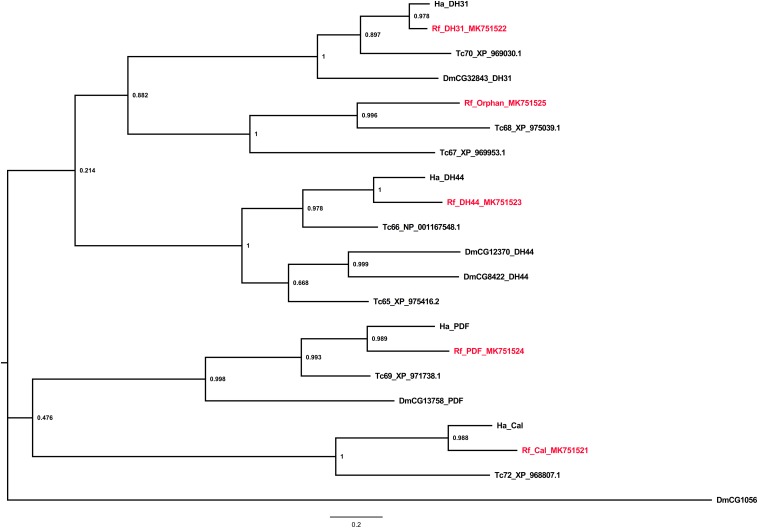 FIGURE 3