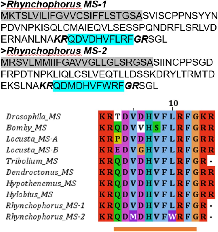 FIGURE 1