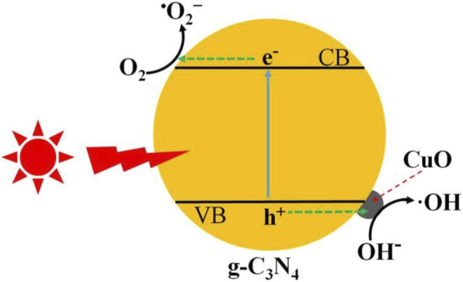 FIGURE 10