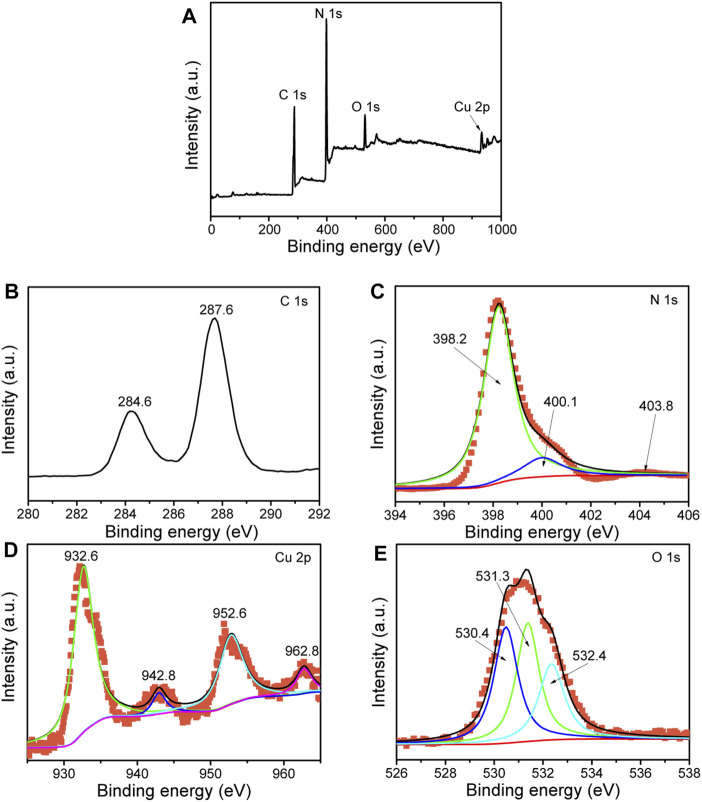 FIGURE 6