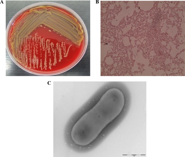 FIG 1