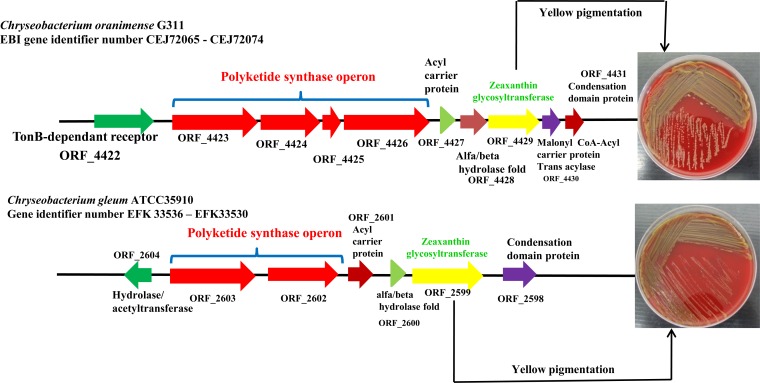 FIG 4