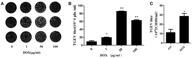 Figure 6