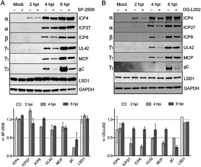 FIG 2