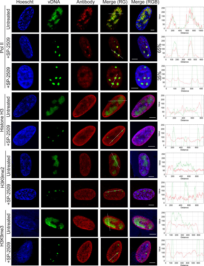 FIG 12