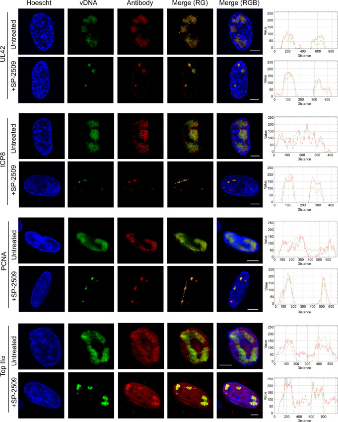 FIG 10