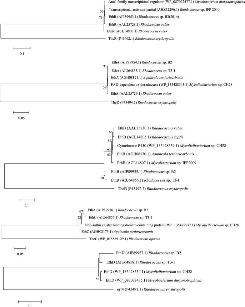 Fig. 5