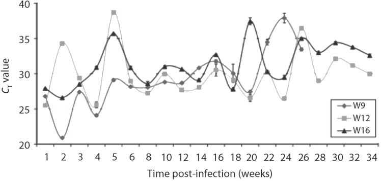 Fig. 1. 