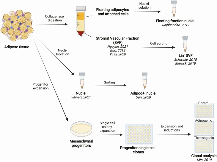 Figure 3.